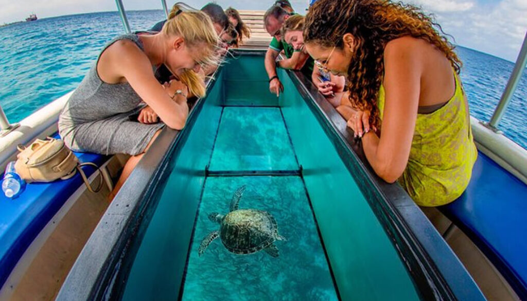 LAYANAN_0001_Glass Bottom Boat & Turtle Island