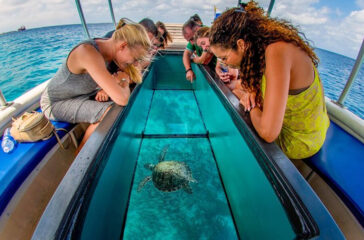 LAYANAN_0001_Glass Bottom Boat & Turtle Island