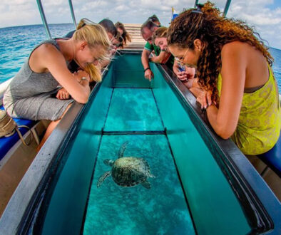LAYANAN_0001_Glass Bottom Boat & Turtle Island