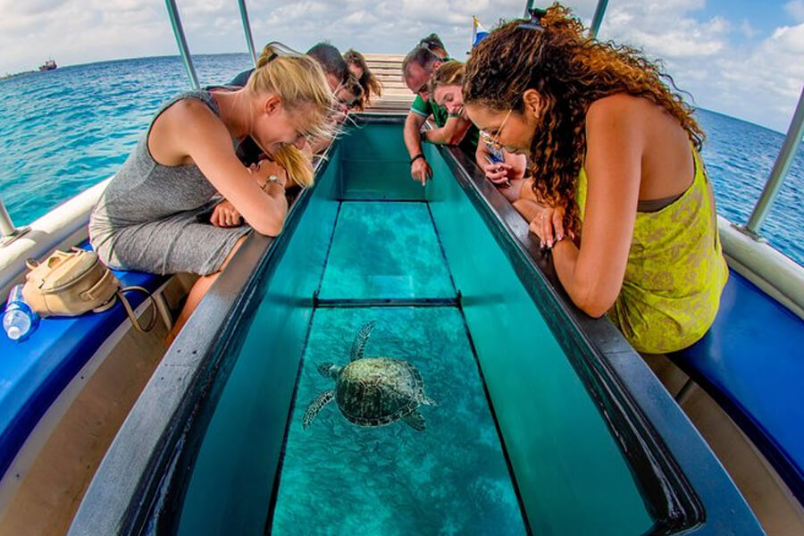 LAYANAN_0001_Glass Bottom Boat & Turtle Island