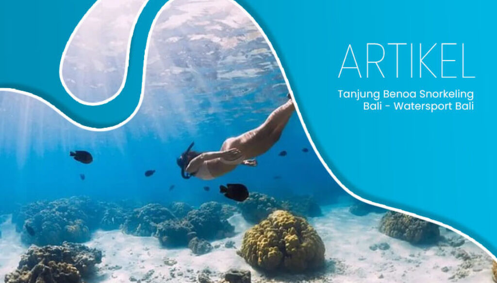 Tanjung Benoa Snorkeling Bali - Watersport Bali 1(1)