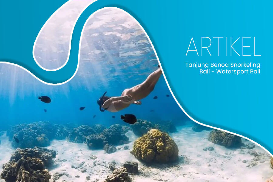 Tanjung Benoa Snorkeling Bali - Watersport Bali 1(1)